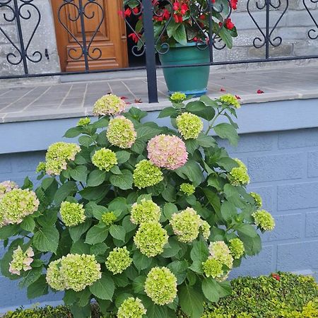 Garden Guest House Permet Exterior photo