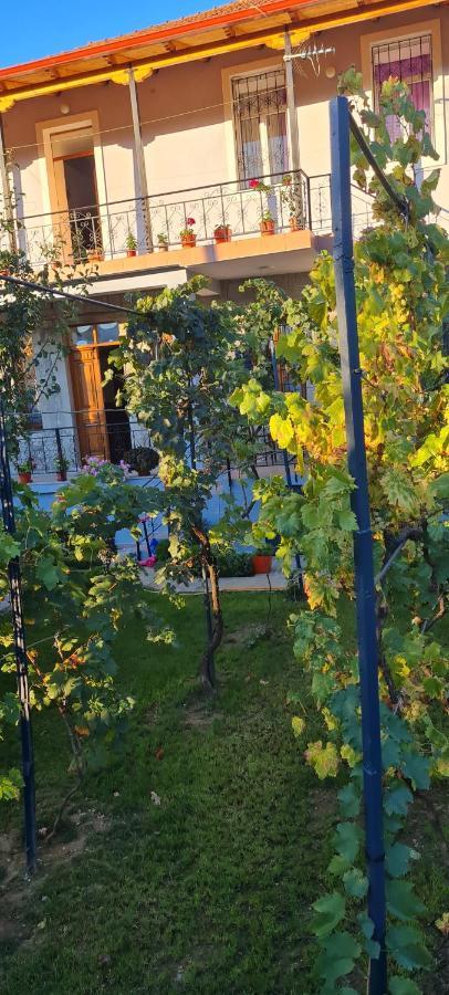 Garden Guest House Permet Exterior photo