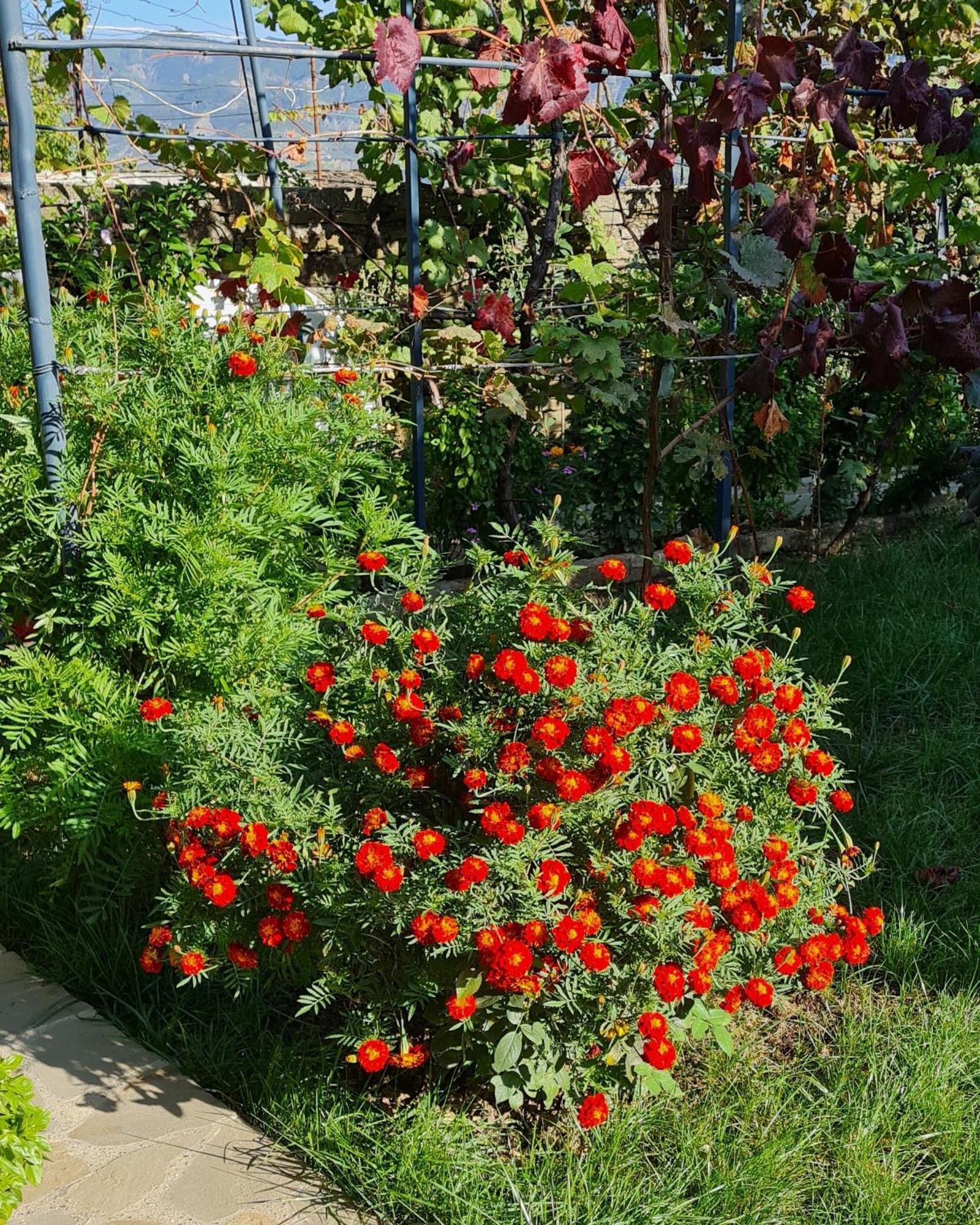 Garden Guest House Permet Exterior photo